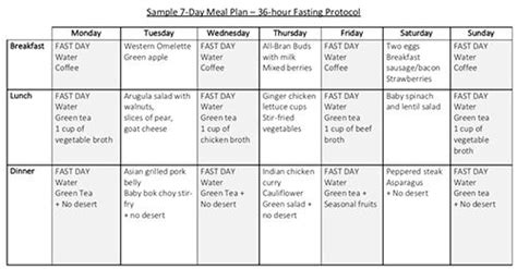 first 7 day obesity diet plan pdf